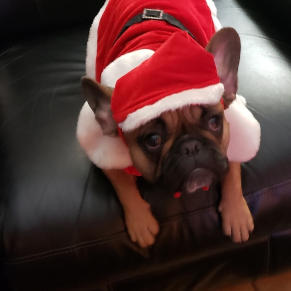 Meet your Posher, Annette - Picture 15 of 15